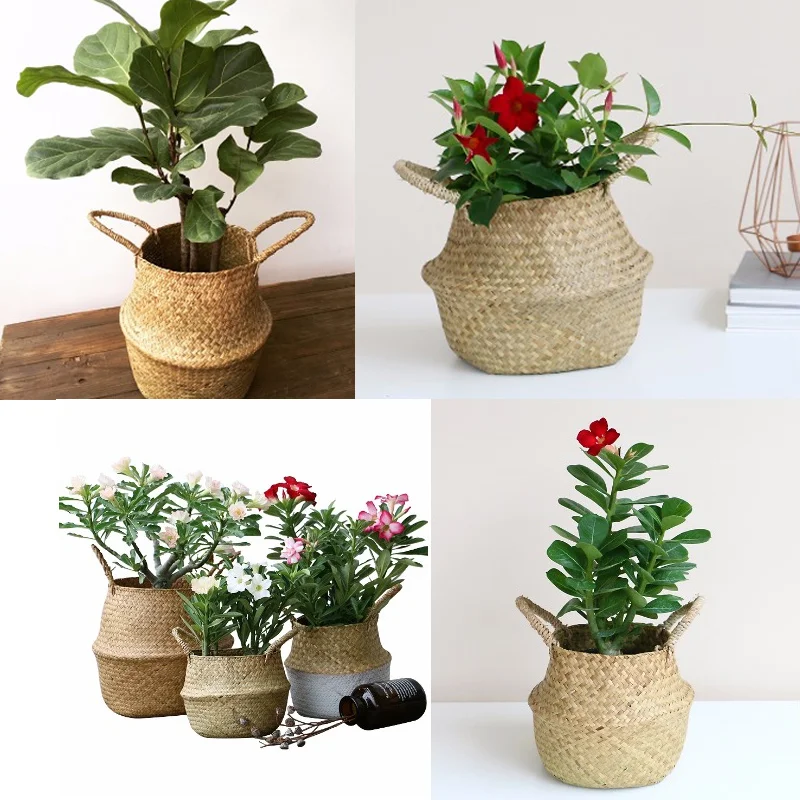 1Pcs Garden Plant Flower Pot Foldable Seagrass Straw Hanging Woven Handmade Rattan Storage Basket Handle Toy Storage Container
1Pcs Garden Plant Flower Pot Foldable Seagrass Straw Hanging Woven Handmade Rattan Storage Basket Handle Toy Storage Container