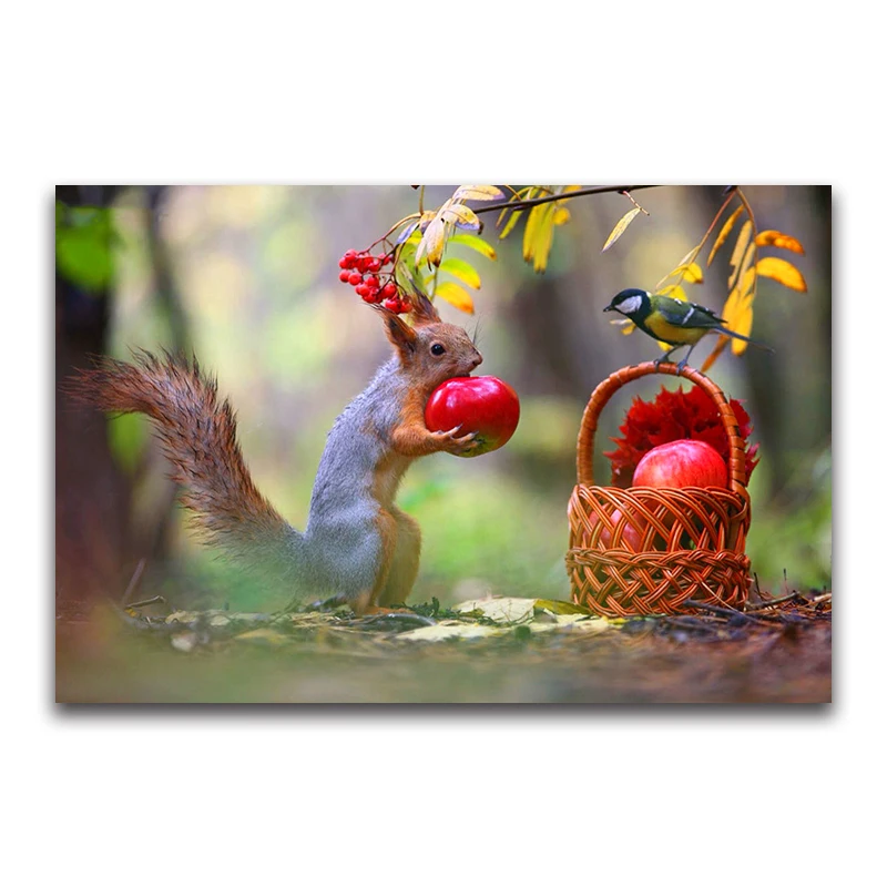 Full Square Diamond embroidery Cross stitch animal DIY 3D Diamond painting squirrel&bird Full Round Diamond mosaic apple