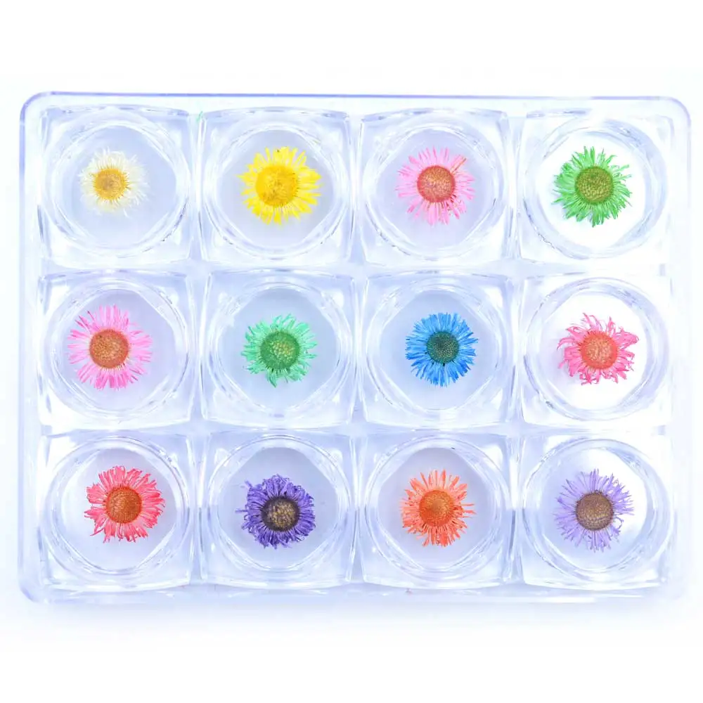 1 Box 3D Dried Flower 12 color Natural Floral Sticker for Nail Art Studs Manicure Accessory
1 Box 3D Dried Flower 12 color Natural Floral Sticker for Nail Art Studs Manicure Accessory