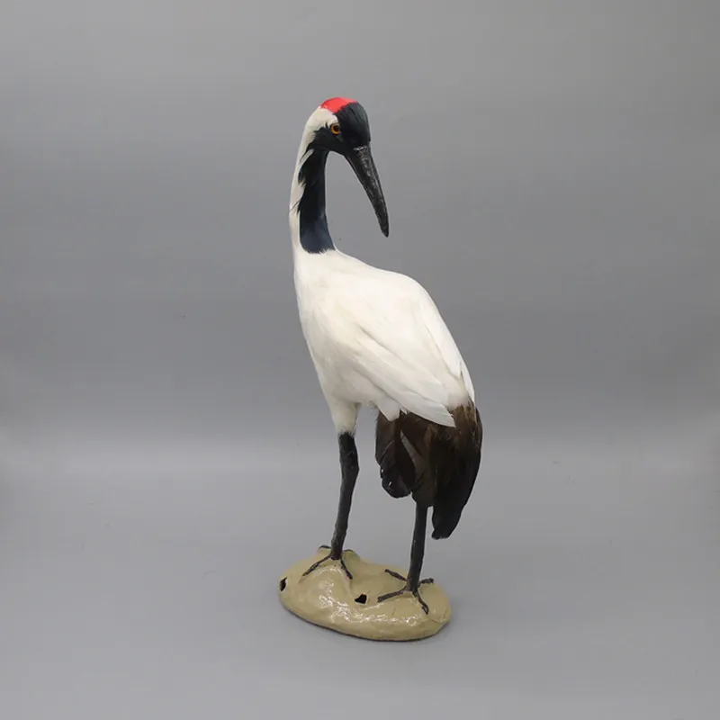 simulation Red-crowned crane model polyethylene & furs crane model home decoration p0040
simulation Red-crowned crane model polyethylene & furs crane model home decoration p0040