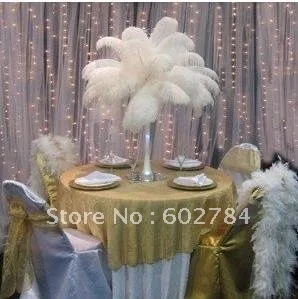 Wholesale 100pcs/lot 14-16inch 35-40 cm White ostrich feather ostrich plumes ostrich plumage Free Shipping
Wholesale 100pcs/lot 14-16inch 35-40 cm White ostrich feather ostrich plumes ostrich plumage Free Shipping