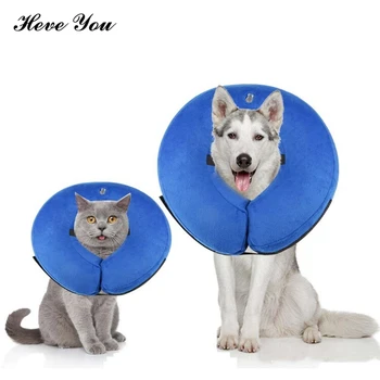 Heve You Inflatable Dog Collar for Dog Soft Recovery Collar for Pet Protective Collar Neck Wound Healing PreventPuppy Lick Wound
Heve You Inflatable Dog Collar for Dog Soft Recovery Collar for Pet Protective Collar Neck Wound Healing PreventPuppy Lick Wound
