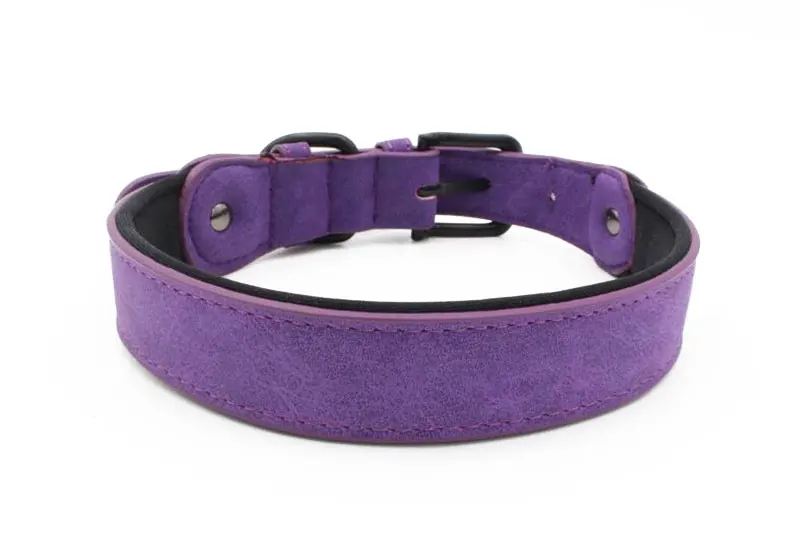 10 big dog collar