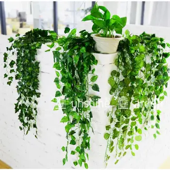 4x 90cm Artificial Ivy/Begonia/Scindapsus leaves Wall Mounted Green plants For Balcony Home Decoration Simulation flowers
4x 90cm Artificial Ivy/Begonia/Scindapsus leaves Wall Mounted Green plants For Balcony Home Decoration Simulation flowers