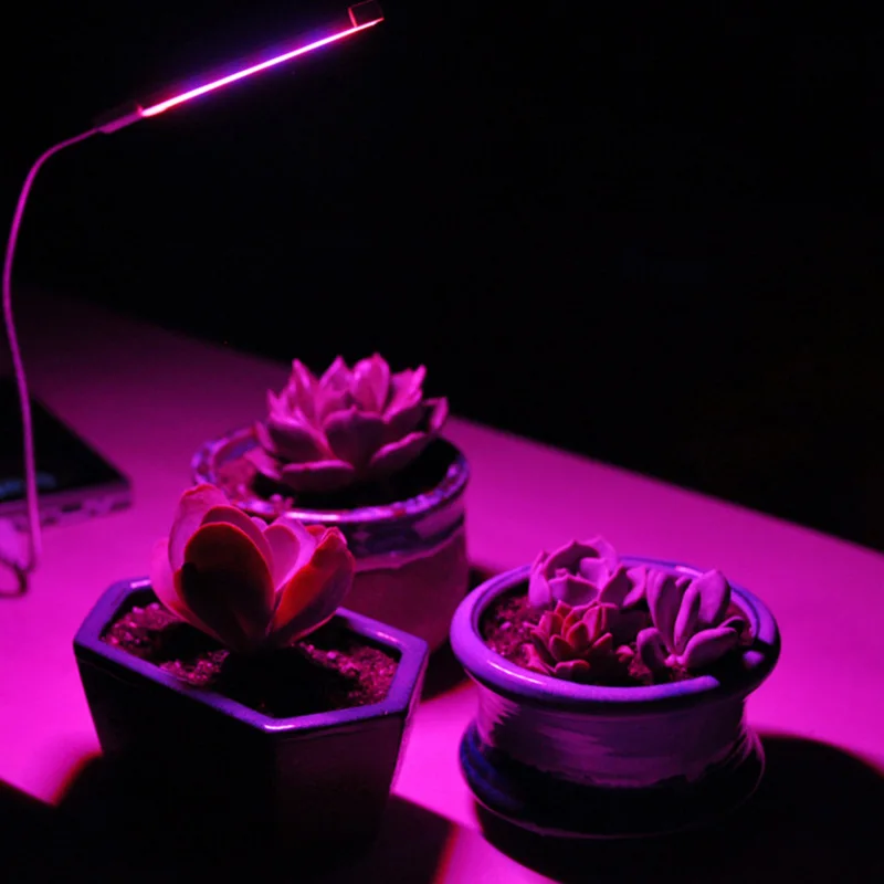 1PCS Usb led grow light spectrum hydroponics Indoor desk Article bar Growth Lamp Indoor desk DC 5V Article bar Growth Lamp
1PCS Usb led grow light spectrum hydroponics Indoor desk Article bar Growth Lamp Indoor desk DC 5V Article bar Growth Lamp
