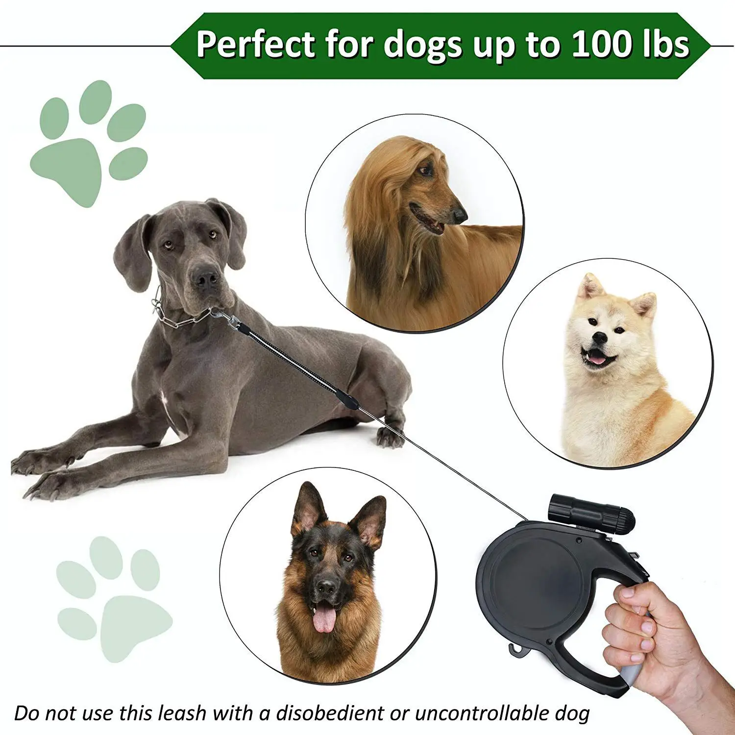 retractable leash for 100 lb dog