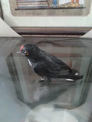 simulation swallow toy polyethylene&furs swallow model funny gift about 14.5cmx6cmx9cm
simulation swallow toy polyethylene&furs swallow model funny gift about 14.5cmx6cmx9cm
