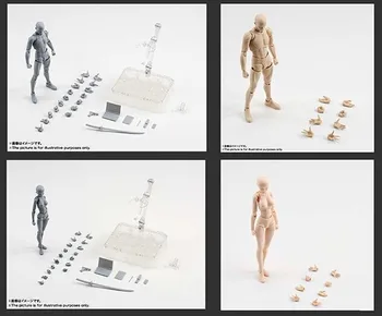 SHFiguarts BODY KUN / BODY CHAN PVC Action Figure Collectible Model Toy Grey/Black/Orange
SHFiguarts BODY KUN / BODY CHAN PVC Action Figure Collectible Model Toy Grey/Black/Orange