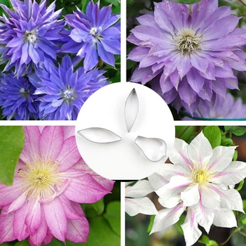 Clematis Petals Stainless Stell Cookie Cutter Pastry & Biscuit Baking Cutter Cake Decoration Tools Cupcake Mold Fondant Tools
Clematis Petals Stainless Stell Cookie Cutter Pastry & Biscuit Baking Cutter Cake Decoration Tools Cupcake Mold Fondant Tools