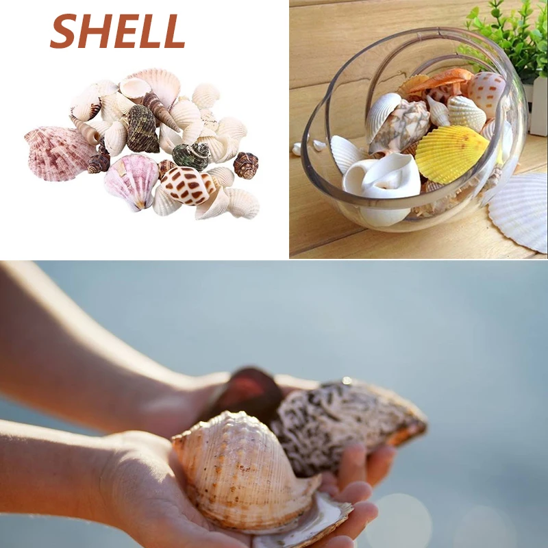 100G Festival Home Decor Beach Seashell Mediterranean style DIY Mix Sea Shells Natural Crafts for Aquarium Fish Tank Decor
100G Festival Home Decor Beach Seashell Mediterranean style DIY Mix Sea Shells Natural Crafts for Aquarium Fish Tank Decor