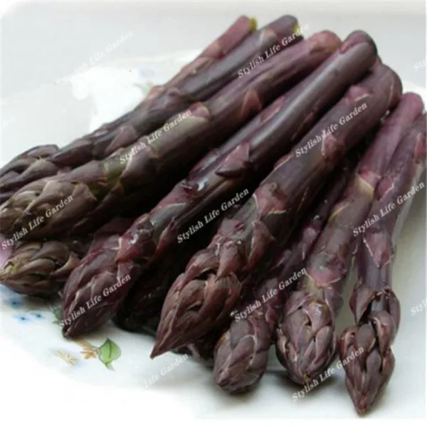 Sales! 500 Pcs Asparagus Organic Heirloom Rare Green Vegetable Perennial Garden small luck Bamboo home plant flower pot planters
Sales! 500 Pcs Asparagus Organic Heirloom Rare Green Vegetable Perennial Garden small luck Bamboo home plant flower pot planters