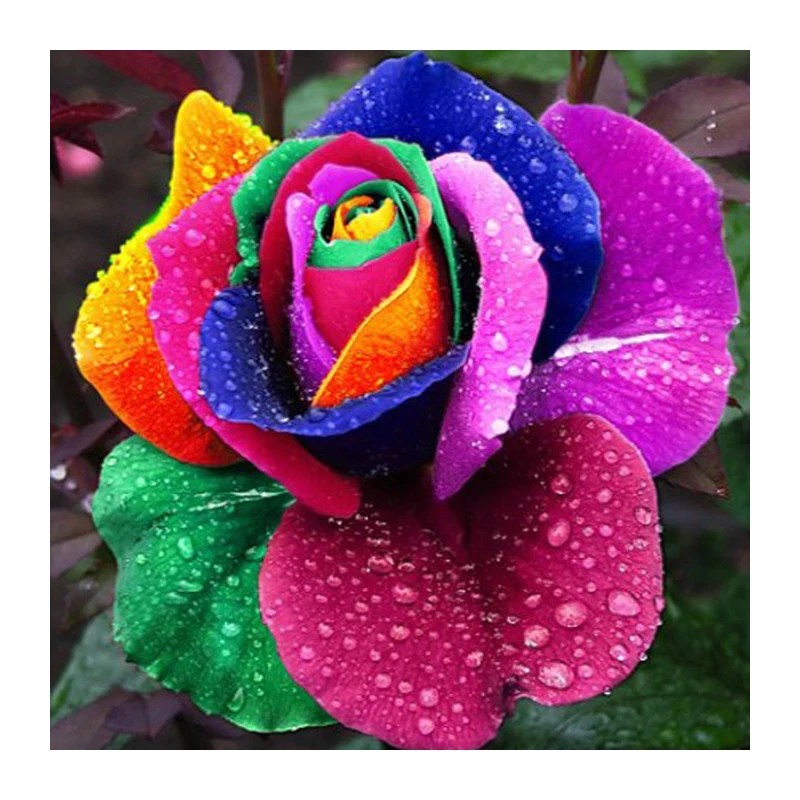 3D DIY Diamond Painting Cross Stitch Diamond Embroidery Square Red Roses Counted Cross Stitch Kits Flowers Decorations 
