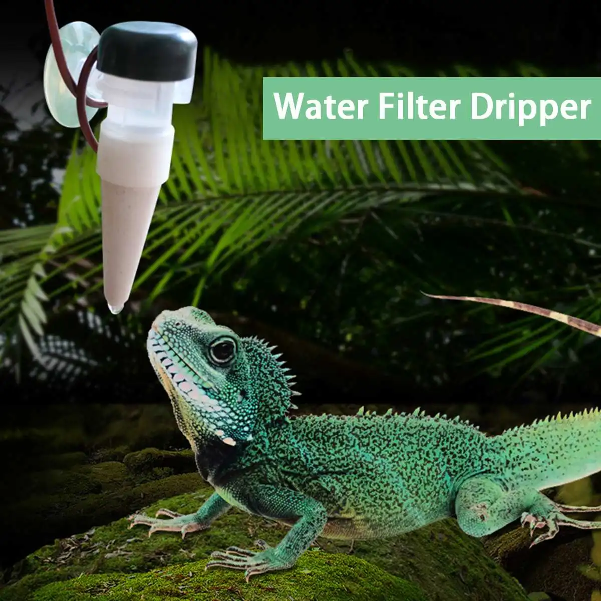 1.3L Reptile Water Filter Dripper Drip System Drinking Fountain Dispenser for Chameleon Lizard Gecko Horned Frogs Humidifier
1.3L Reptile Water Filter Dripper Drip System Drinking Fountain Dispenser for Chameleon Lizard Gecko Horned Frogs Humidifier