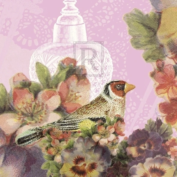 Birds and Ornaments V Poster Print by Clara Wells (6 x 8)