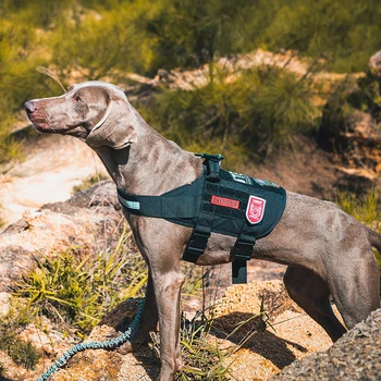 OneTigris Tactical Dog Training Vest Handled Dog Harness Light Reflective Service Dog Vest Loop on Sides for ID Patch
OneTigris Tactical Dog Training Vest Handled Dog Harness Light Reflective Service Dog Vest Loop on Sides for ID Patch