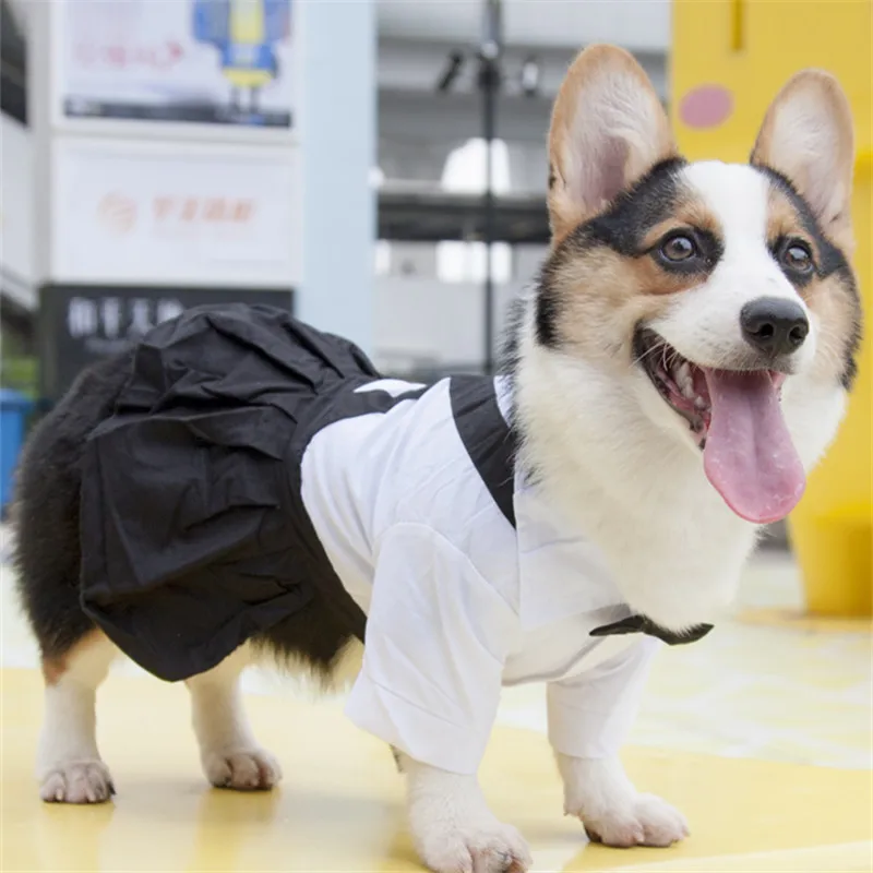 Dog Wedding Dress Boy Dog Clothes Jumpsuit Girl Dog Clothing Skirt Couple Pet Costume Dresses Corgi Clothes Schnauzer Apparel
Dog Wedding Dress Boy Dog Clothes Jumpsuit Girl Dog Clothing Skirt Couple Pet Costume Dresses Corgi Clothes Schnauzer Apparel