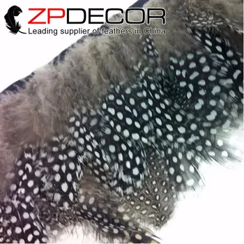 

ZPDECOR 1-3inch 10yards/lot Good Quality Rare and Precious Guinea Polka Dot Hen Plumage Feathers Trim Showgirl Decoration