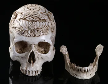 High-precision carved Ga Ba people skull model high-end resin skeleton handicrafts home Decoration Skull Halloween
High-precision carved Ga Ba people skull model high-end resin skeleton handicrafts home Decoration Skull Halloween