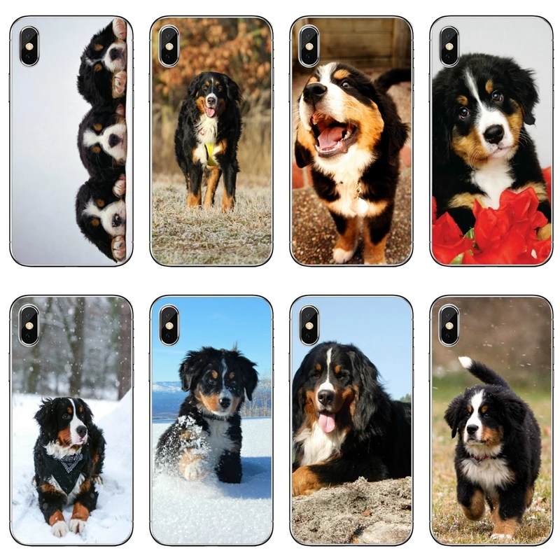 Bernese Mountain Dog puppy tpu soft case For Samsung Galaxy A10 A30 A40 A50 A60 A70 Huawei P30 lite pro P Smart Y6 2019
Bernese Mountain Dog puppy tpu soft case For Samsung Galaxy A10 A30 A40 A50 A60 A70 Huawei P30 lite pro P Smart Y6 2019