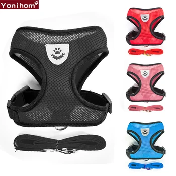 Nylon Dog Harness Vest Leash Breathable Mesh Small Dog Pet Harness and Leash Set Puppy Cat Vest Harness Collar For Chihuahua
Nylon Dog Harness Vest Leash Breathable Mesh Small Dog Pet Harness and Leash Set Puppy Cat Vest Harness Collar For Chihuahua