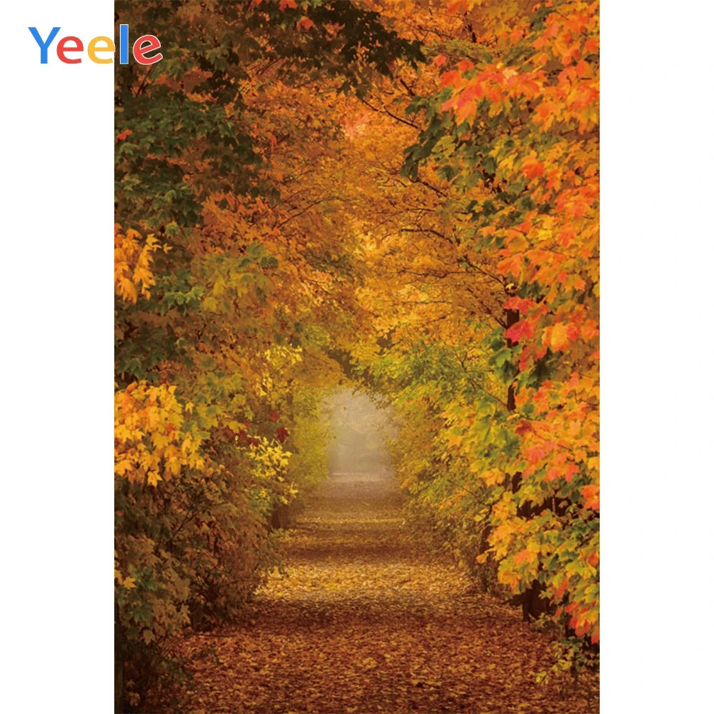 Yeele Romantic Forest Road Wonderful Scenery Autumn Photography Backgrounds Personalized Photographic Backdrops For Photo Studio
Yeele Romantic Forest Road Wonderful Scenery Autumn Photography Backgrounds Personalized Photographic Backdrops For Photo Studio