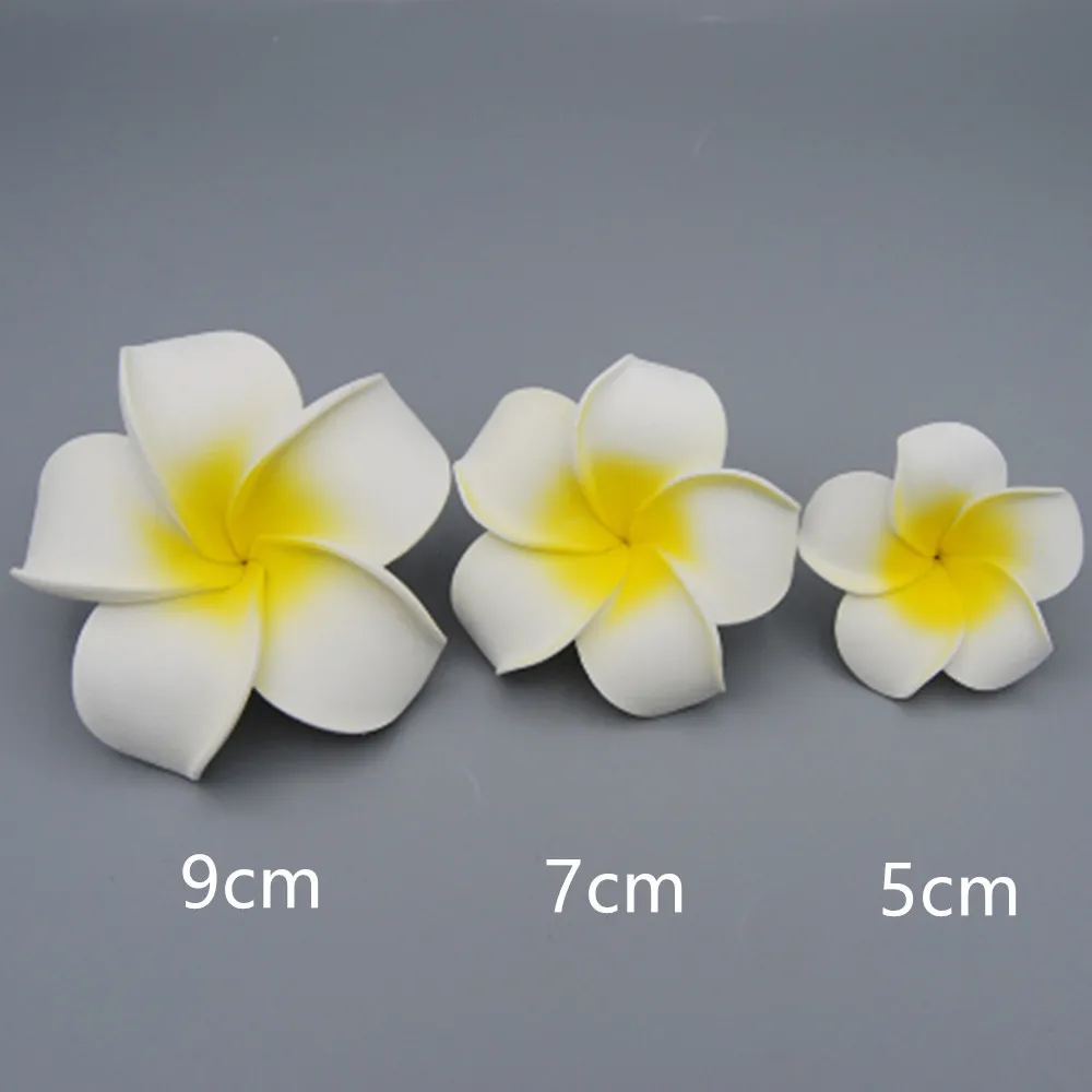 hair clip (1).jpg