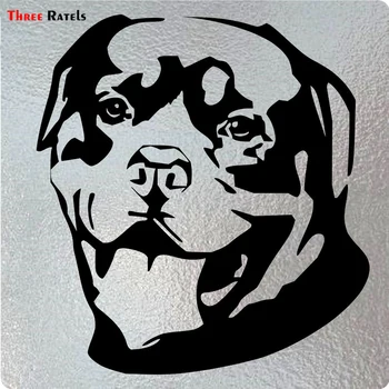 Three Ratels LBH332 #13.9x15cm funny car sticker lovely Rottweiler Vinyl Decal stickers and decals
Three Ratels LBH332 #13.9x15cm funny car sticker lovely Rottweiler Vinyl Decal stickers and decals