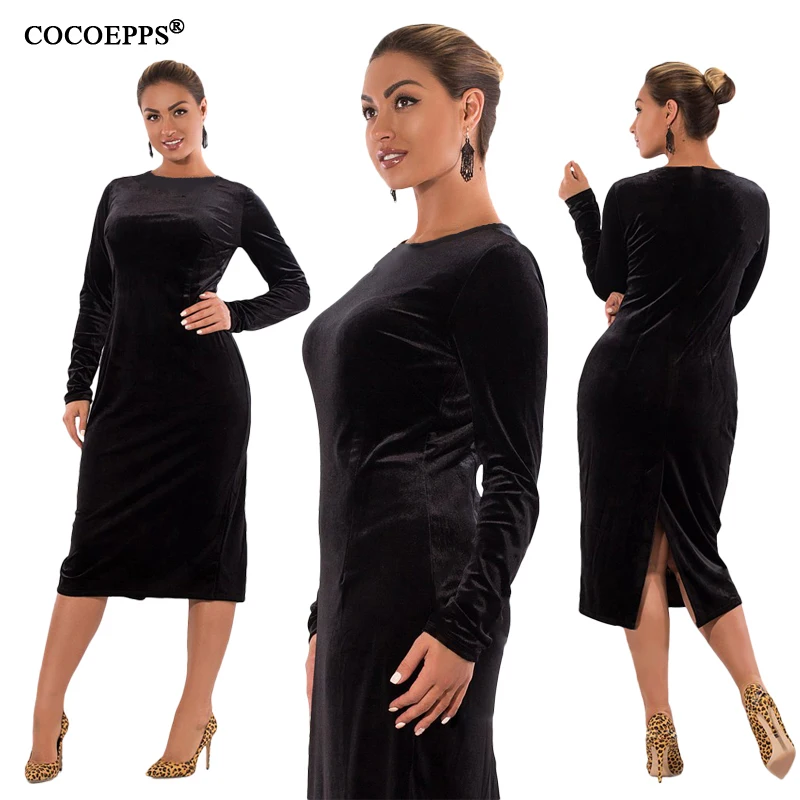 COCOEPPS14