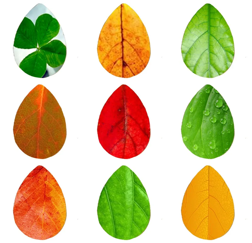 Yolprtty 5pcs 18*25mm Four Leaf Clover Autumn Leaves Lucky Chain Handmade Photo Glass Drop Style Cabochons Jewelry Accessories
Yolprtty 5pcs 18*25mm Four Leaf Clover Autumn Leaves Lucky Chain Handmade Photo Glass Drop Style Cabochons Jewelry Accessories