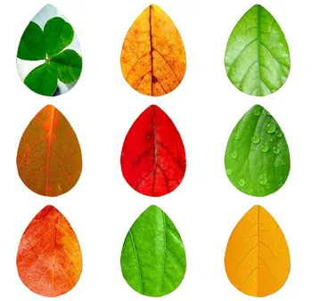 Yolprtty 5pcs 18*25mm Four Leaf Clover Autumn Leaves Lucky Chain Handmade Photo Glass Drop Style Cabochons Jewelry Accessories
Yolprtty 5pcs 18*25mm Four Leaf Clover Autumn Leaves Lucky Chain Handmade Photo Glass Drop Style Cabochons Jewelry Accessories