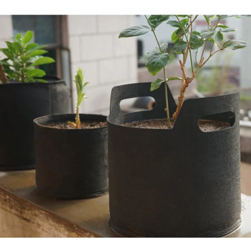 1pc Non Woven Black Grow Bag Multifunction Home Storage Reuse Round Aeration Pot Plant Nursery Flowers Pots Container Grow Bag
1pc Non Woven Black Grow Bag Multifunction Home Storage Reuse Round Aeration Pot Plant Nursery Flowers Pots Container Grow Bag