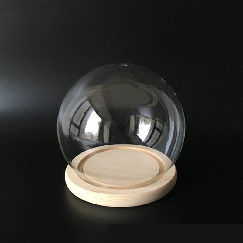 Modern Style Ball Shaped Glass Cover Micro Landscape Fairy Garden DIY Display Terrarium Vase Container Home Cafe Decor
Modern Style Ball Shaped Glass Cover Micro Landscape Fairy Garden DIY Display Terrarium Vase Container Home Cafe Decor