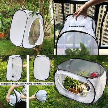 ISHOWTIENDA Portable Collapsible Insect cage Creative Terrarium Open Cage Housing Enclosure 40X40X60CM 2019 new
ISHOWTIENDA Portable Collapsible Insect cage Creative Terrarium Open Cage Housing Enclosure 40X40X60CM 2019 new