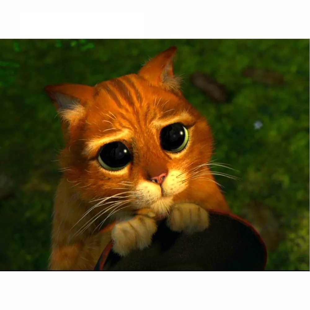 5D DIY Diamond Painting Cat Animal Full Square 3D Diamond Embroidery Cross Stitch Yellow Cat Big Eyes Needlework Home Decorative
5D DIY Diamond Painting Cat Animal Full Square 3D Diamond Embroidery Cross Stitch Yellow Cat Big Eyes Needlework Home Decorative