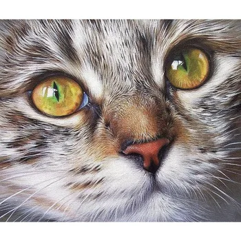 5D Diy Diamond Painting Lovely Cat Face Cross Stitch mosaic Diamond Painting Round/Square Rhinestones Embroidery Gifts v468
5D Diy Diamond Painting Lovely Cat Face Cross Stitch mosaic Diamond Painting Round/Square Rhinestones Embroidery Gifts v468