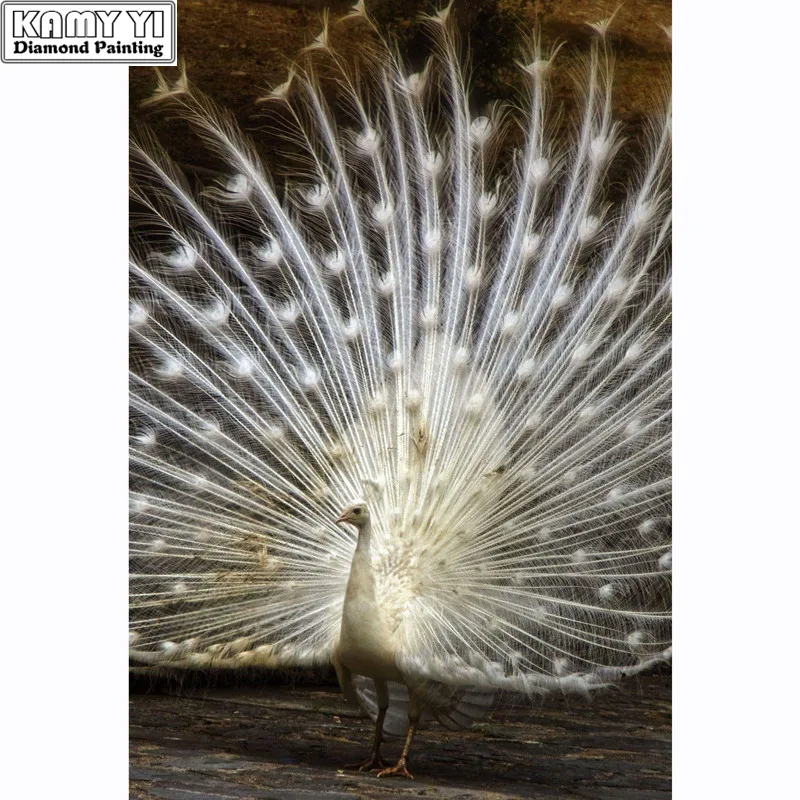5D DIY Diamond Painting White Peacock Embroidery Full Round Diamond Cross Stitch Rhinestone Mosaic Painting Animal Crafts Decor
5D DIY Diamond Painting White Peacock Embroidery Full Round Diamond Cross Stitch Rhinestone Mosaic Painting Animal Crafts Decor