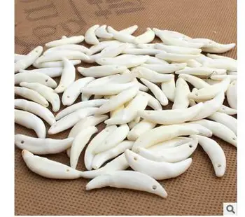 wholesale 2-10PC jewelry Factory The dog tooth necklace bracelet accessories manufacturers wholesale spike
wholesale 2-10PC jewelry Factory The dog tooth necklace bracelet accessories manufacturers wholesale spike