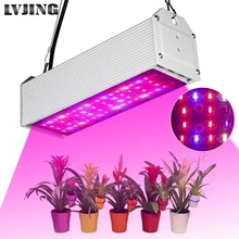 150W LED Grow Light Waterproof IP65 Full Spectrum Lamp phytolamp For Indoor Plants Greenhouse Vegs Flowers Hydroponics Grow Tent
150W LED Grow Light Waterproof IP65 Full Spectrum Lamp phytolamp For Indoor Plants Greenhouse Vegs Flowers Hydroponics Grow Tent