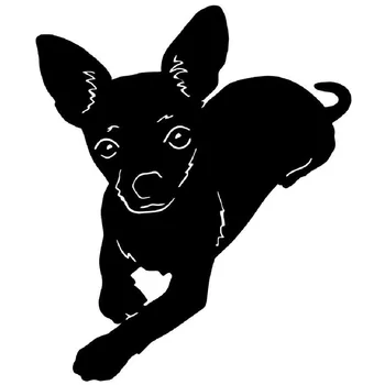 15.2*12.7CM Chihuahua Pet Dog Car Stickers Lovely Vinyl Decal Car Styling Truck Accessories Black/Silver S1-0892
15.2*12.7CM Chihuahua Pet Dog Car Stickers Lovely Vinyl Decal Car Styling Truck Accessories Black/Silver S1-0892