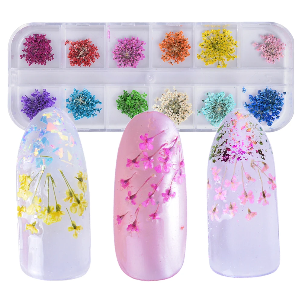 1Set Dried Flower Decoration Nail Art Mixed Color Preserved 3D Irregular Decor DIY Stickers Polish Tool Manicure Accessory BE170
1Set Dried Flower Decoration Nail Art Mixed Color Preserved 3D Irregular Decor DIY Stickers Polish Tool Manicure Accessory BE170