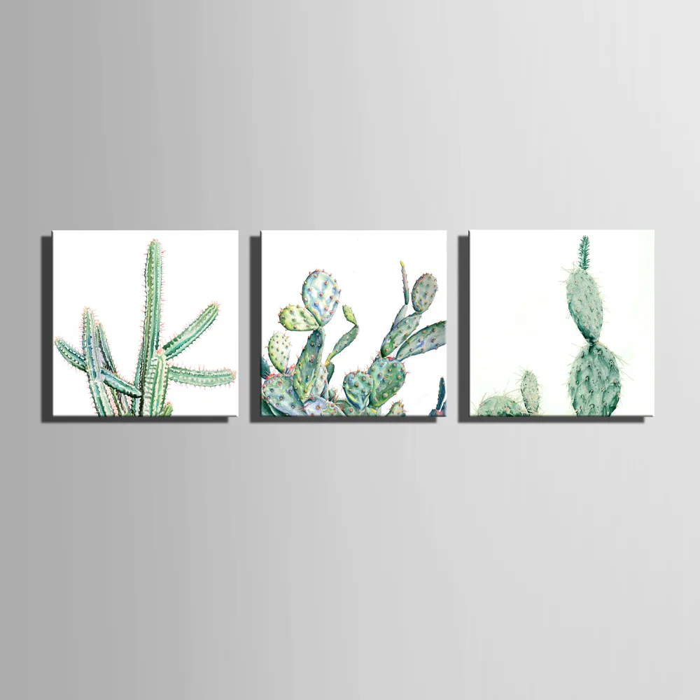 Modern HD Printed Poster Cactus Decoration Paintings Home Decor On Canvas Wall Art Pictures Print Canvas Painting Unframed
Modern HD Printed Poster Cactus Decoration Paintings Home Decor On Canvas Wall Art Pictures Print Canvas Painting Unframed