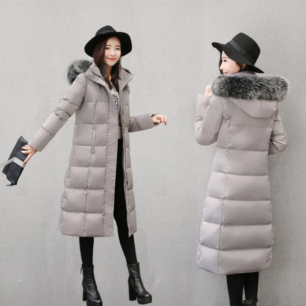 4410448758_1069041822