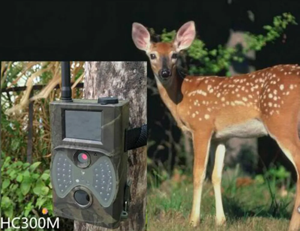 Free Shipping + No glow night vision GSM GPRS MMS 12MP Wireless hunting camera
Free Shipping + No glow night vision GSM GPRS MMS 12MP Wireless hunting camera