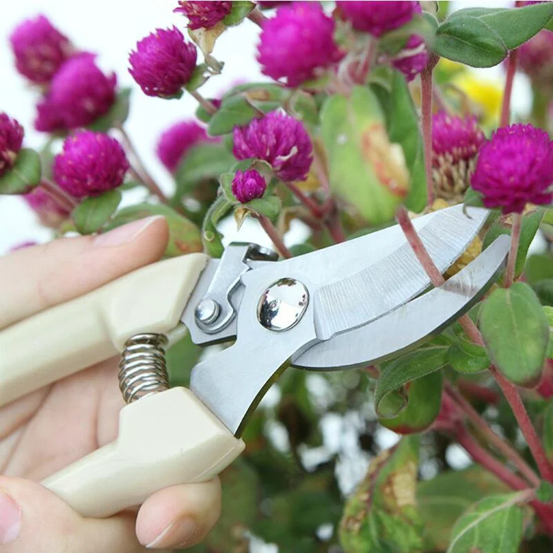 Stainless stee pruning garden shears Flower scissors Tree picking shears Bonsai Pruner Plant Grafting hand operated tool
Stainless stee pruning garden shears Flower scissors Tree picking shears Bonsai Pruner Plant Grafting hand operated tool