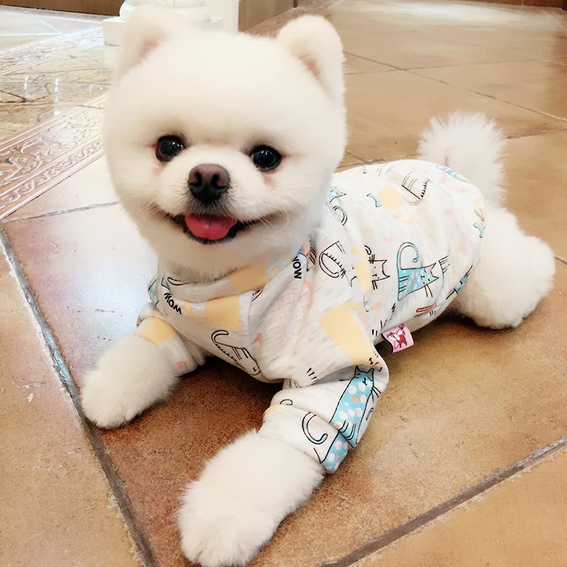 Pomeranian dog clothes xs (18)