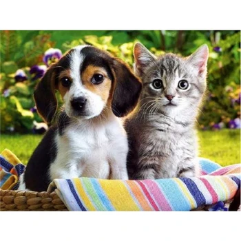 5D,Diamond Embroidery,Dog&Cat,Pictures,DIY,Beautiful ,Animal Series,Diamond Mosaic,Needlework,Cross Stitch Kits,Home Decor
5D,Diamond Embroidery,Dog&Cat,Pictures,DIY,Beautiful ,Animal Series,Diamond Mosaic,Needlework,Cross Stitch Kits,Home Decor