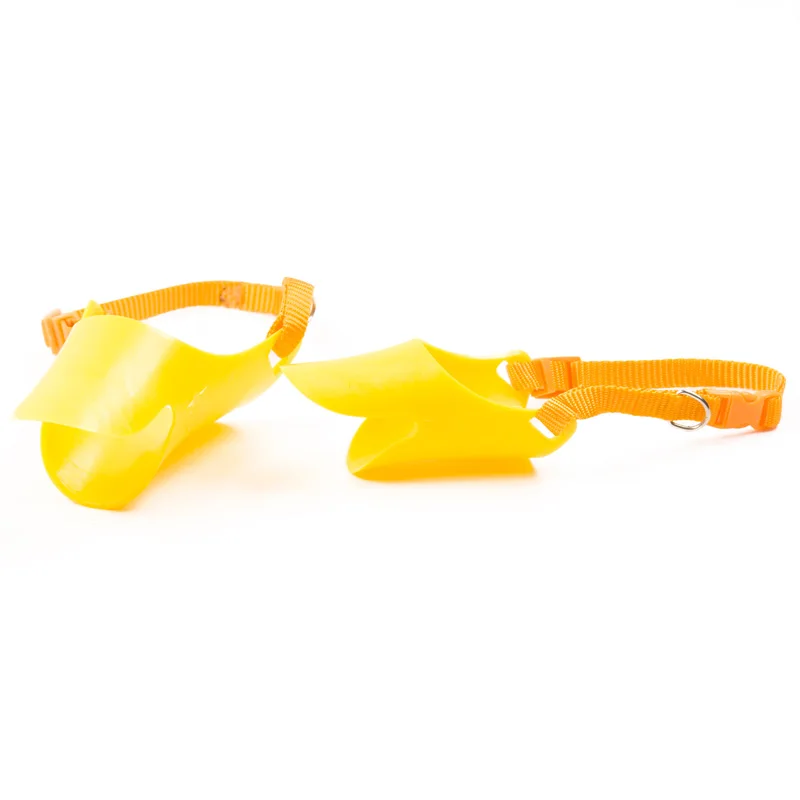 04 Duck Mouth