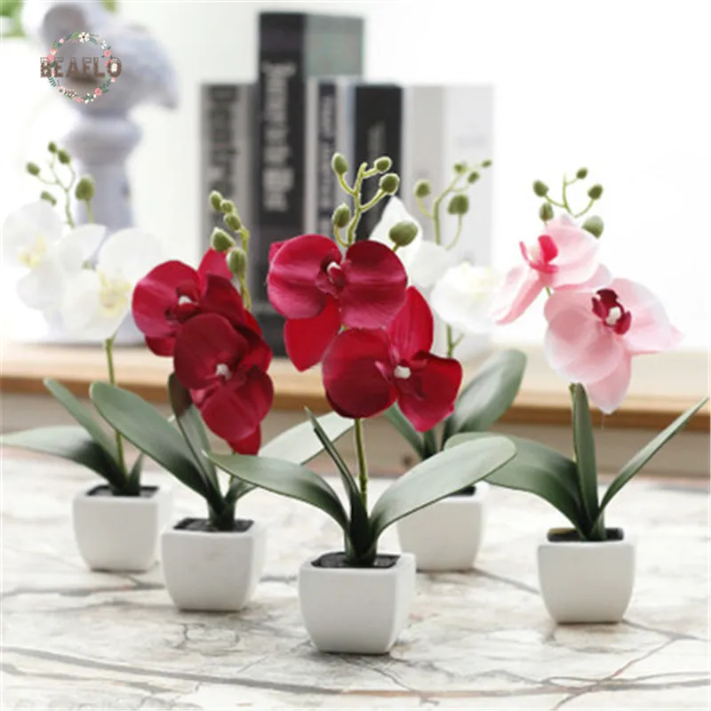 1PC Artificial Flower Phalaenopsis Fake Bonsai Silk Cloth Moth Orchid Plastic Potted Home Party Decoration
1PC Artificial Flower Phalaenopsis Fake Bonsai Silk Cloth Moth Orchid Plastic Potted Home Party Decoration