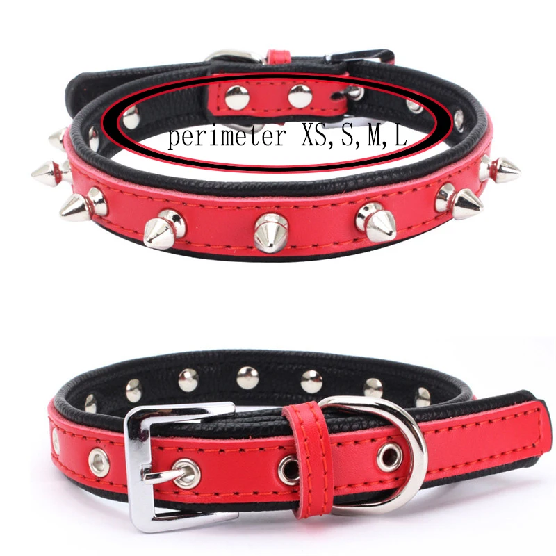 animal collar