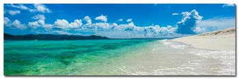 NICOLESHENTING Hawaii Sea Beach Art Silk Poster Large Print 24x77 inch Sky Clouds Landscape Wall Pictures Living Room Decor
NICOLESHENTING Hawaii Sea Beach Art Silk Poster Large Print 24x77 inch Sky Clouds Landscape Wall Pictures Living Room Decor